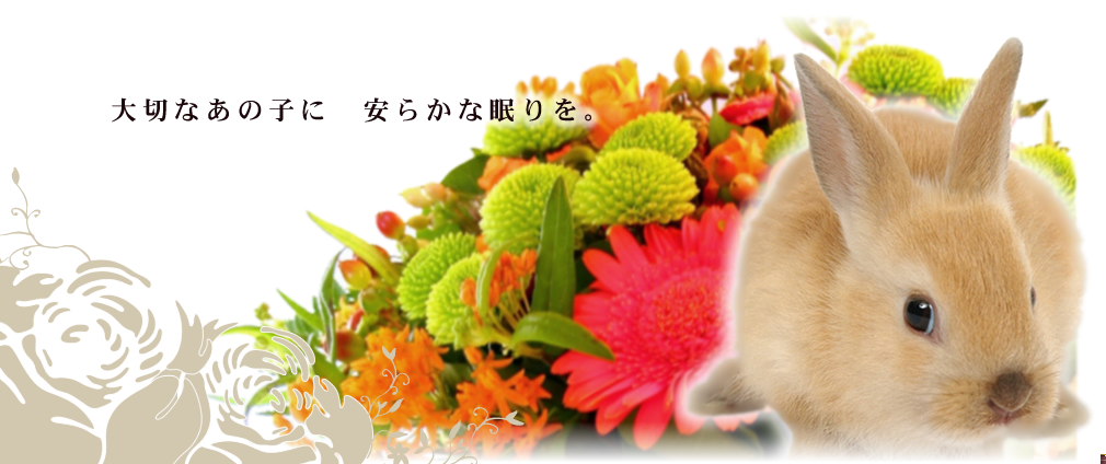 ���꤬�Ȥ��򤪲֤ˤ������ơ�